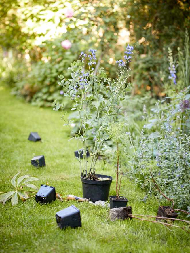 GITOC_S-Rothe_0031 1