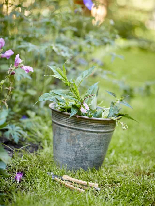 GITOC_S-Rothe_0046 1