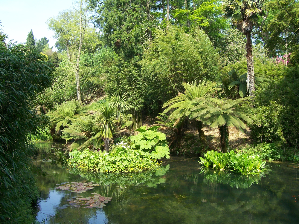 Lost Gardens of Heligan