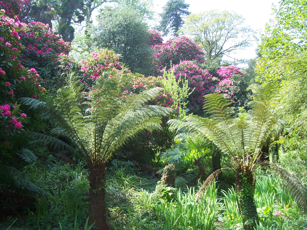 Lost Gardens of Heligan2